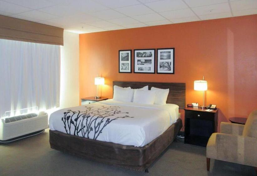Стандартный Номер Кровать Кинг, Sleep Inn & Suites Ft. Lauderdale International Airport
