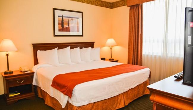 キングサイズベッドのスイートルーム, Country Inn & Suites By Radisson, London South, On