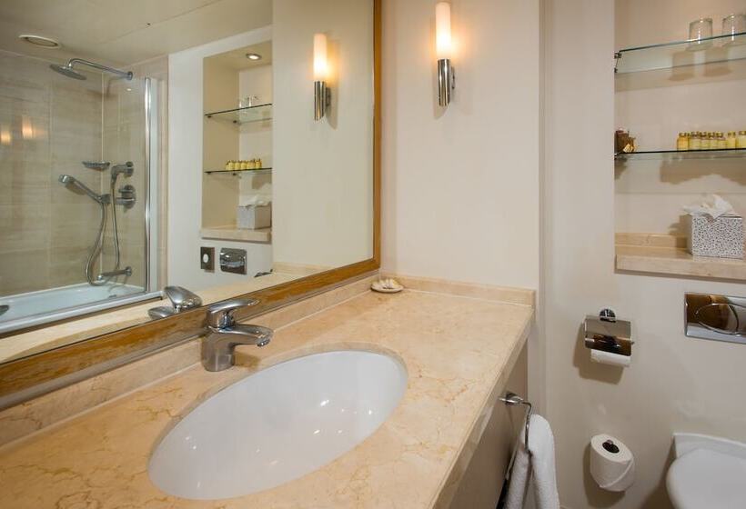 Camera Executive, The Park City Grand Plaza Kensington