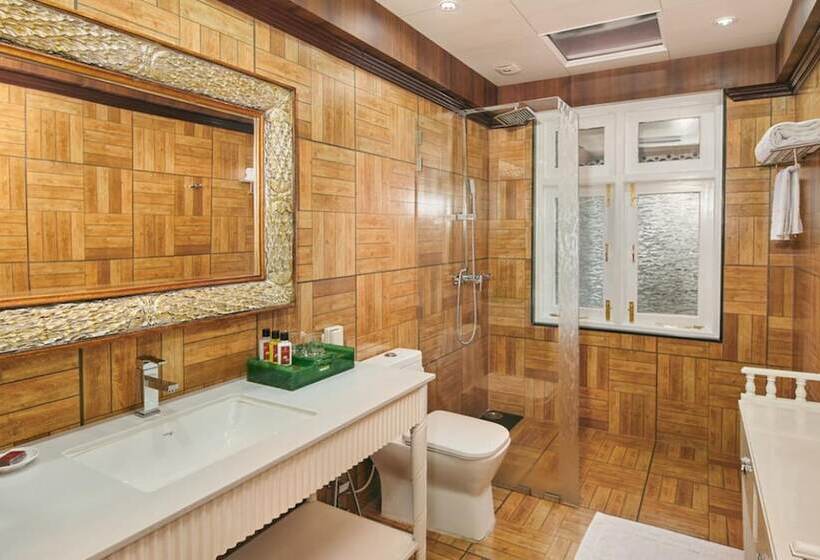 Family Room, Mayfair Darjeeling