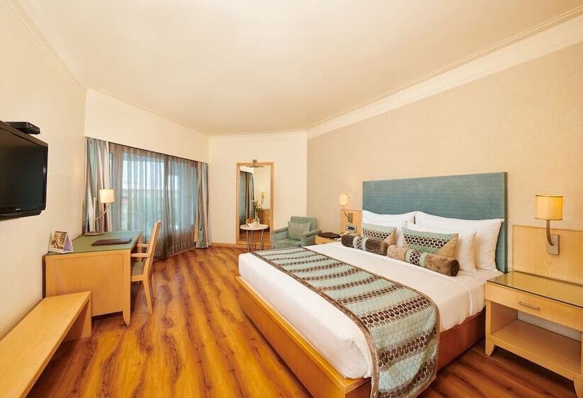 Habitació Deluxe, The Pride Hotel, Nagpur