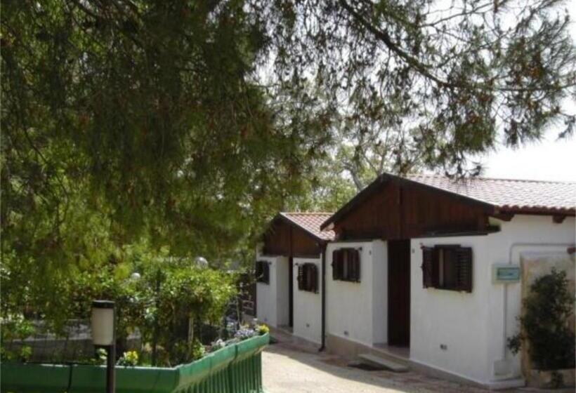 اتاق استاندارد سه نفره, Holiday Residence