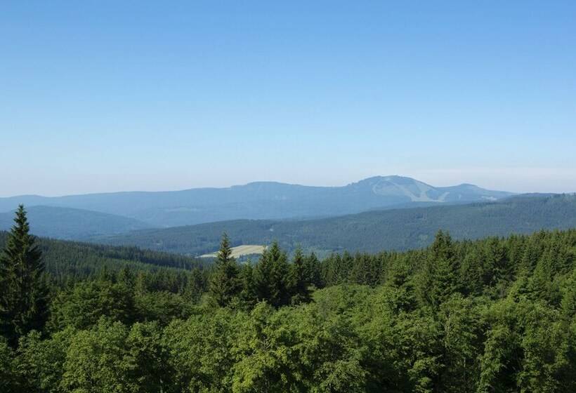 行政房间, Orea Resort Horizont šumava