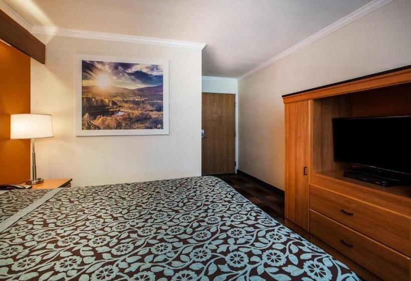 Pokój Standard, Days Inn & Suites By Wyndham Antioch