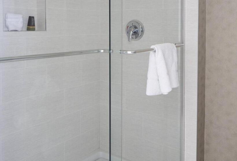 اتاق دلوکس مخصوص معلولین, Hartford Marriott Downtown
