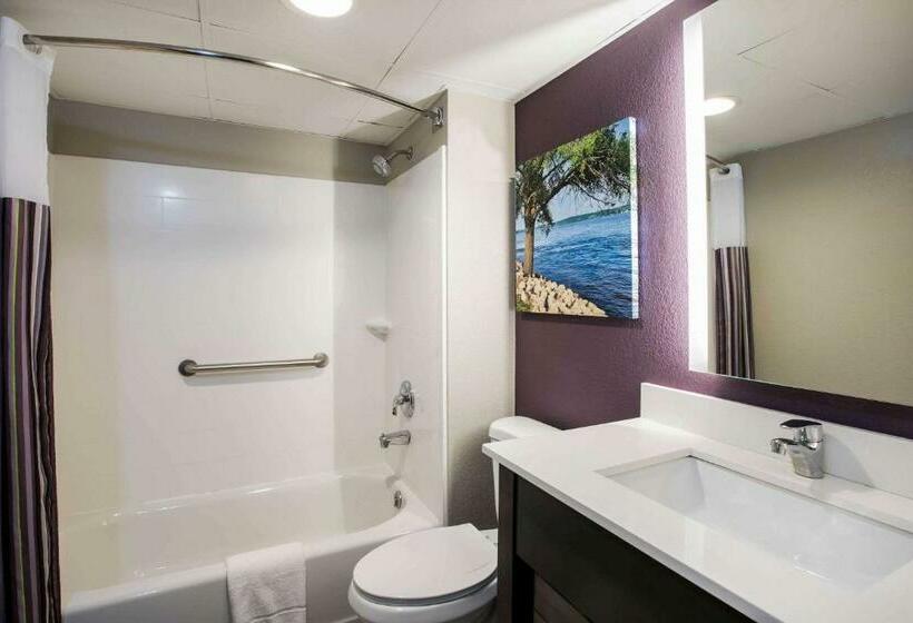 اتاق استاندارد با تخت بزرگ, La Quinta Inn By Wyndham Davenport & Conference Center