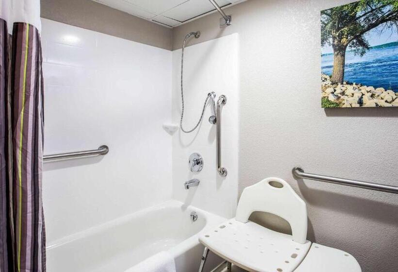 اتاق استاندارد با تخت بزرگ برای معلولان, La Quinta Inn By Wyndham Davenport & Conference Center