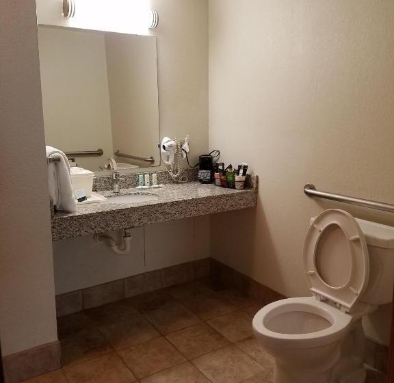 장애인을 위한 킹사이즈 침대 스탠다드 룸, Quality Inn New River Gorge