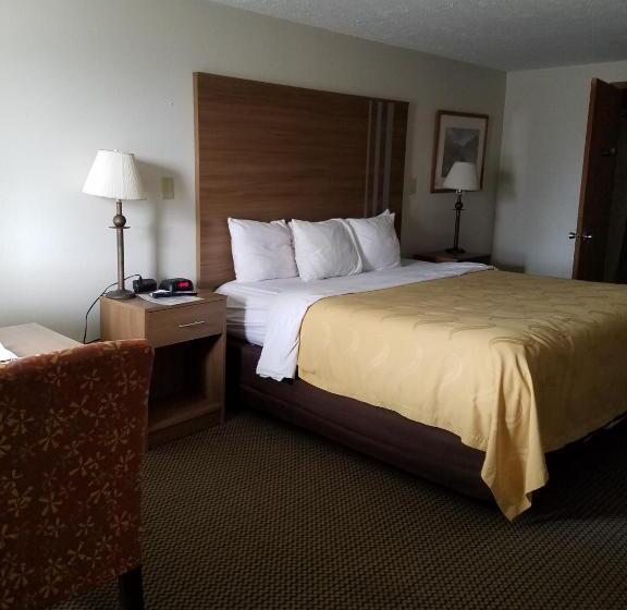 장애인을 위한 킹사이즈 침대 스탠다드 룸, Quality Inn New River Gorge
