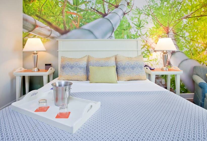 غرفة قياسية, Voco Sarasota, An Ihg