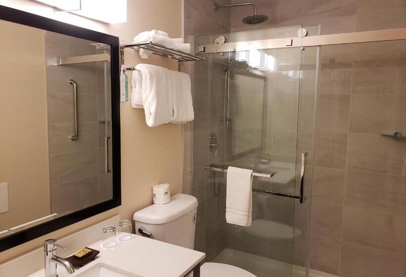 带大床的标准工作室, Sun Peaks Lodge