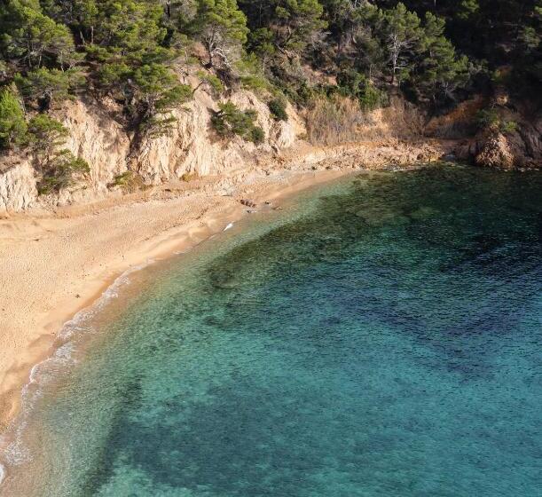 전망 주니어 스위트, Zel Costa Brava