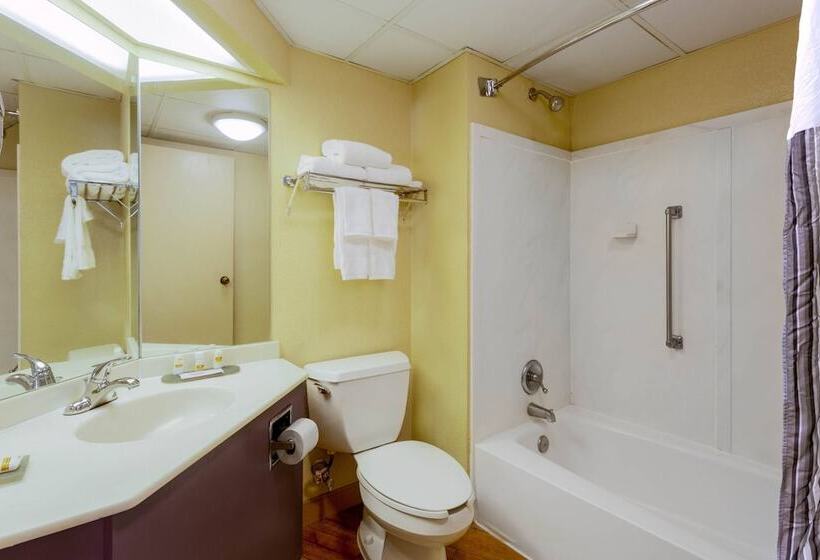 اتاق استاندارد با 2 تخت دوبل, La Quinta By Wyndham Charlotte Airport South