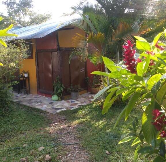 スタンダードルーム, Posadamanduka Eco Hostel