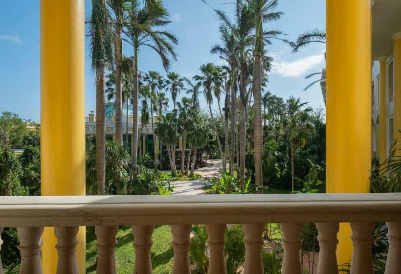 Quarto Estandar, JOIA Paraíso by Iberostar - Adults Only