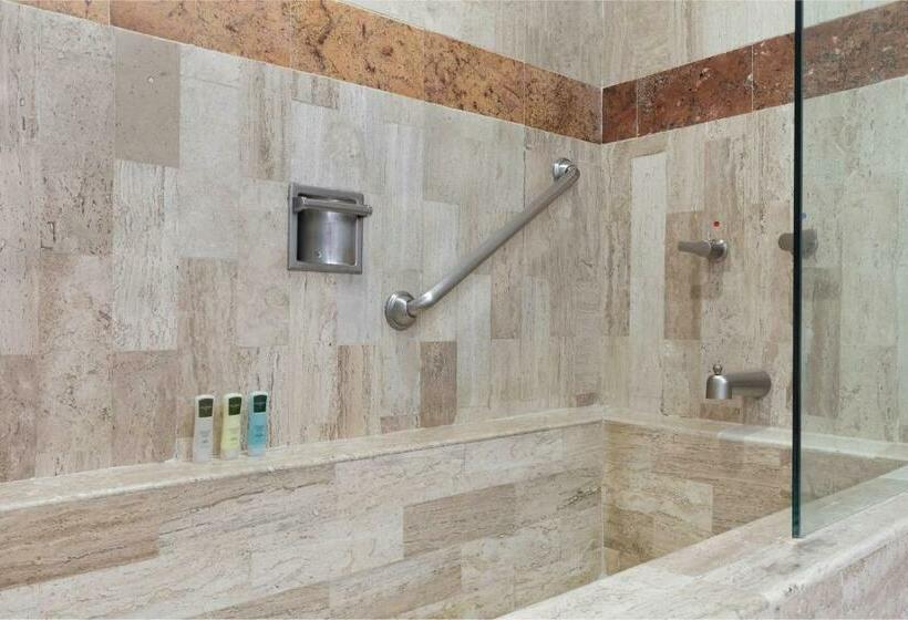 سوییت جونیور, Villa Del Palmar Beach Resort & Spa Puerto Vallarta