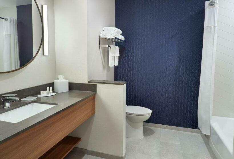 キングサイズベッドのスタンダードルーム, Fairfield Inn & Suites By Marriott Athensuniversity Area
