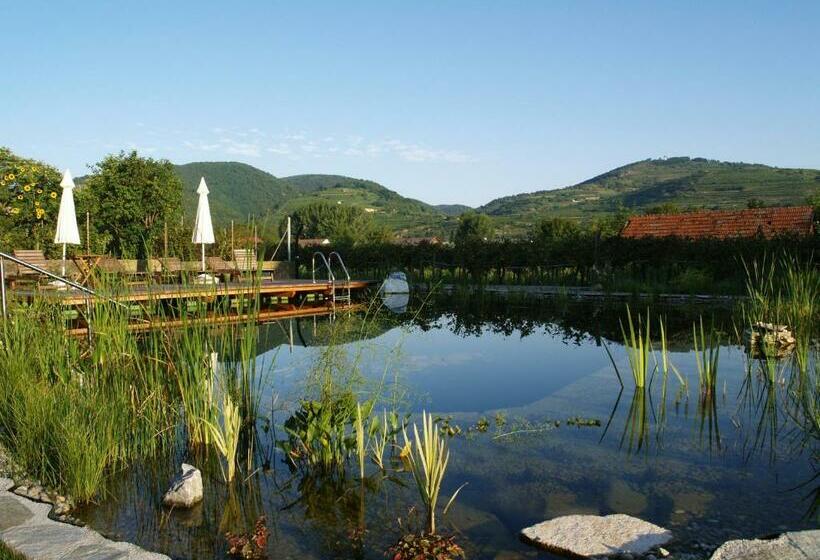 Шале 1 Спальня, Ad Vineas Gästehaus Nikolaihof Hotel Garni