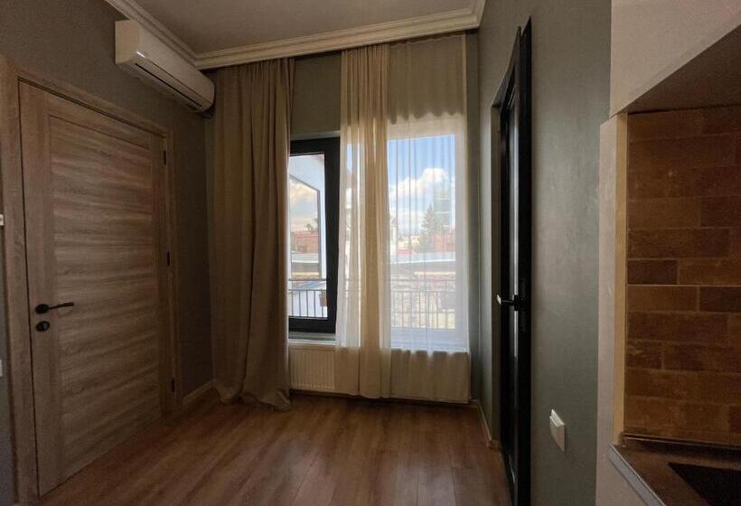 استودیوی استاندارد, Honeymoon Apartments In Old Tbilisi