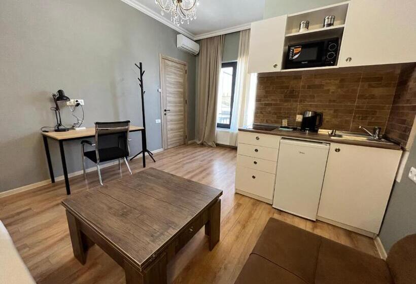 استودیوی استاندارد, Honeymoon Apartments In Old Tbilisi
