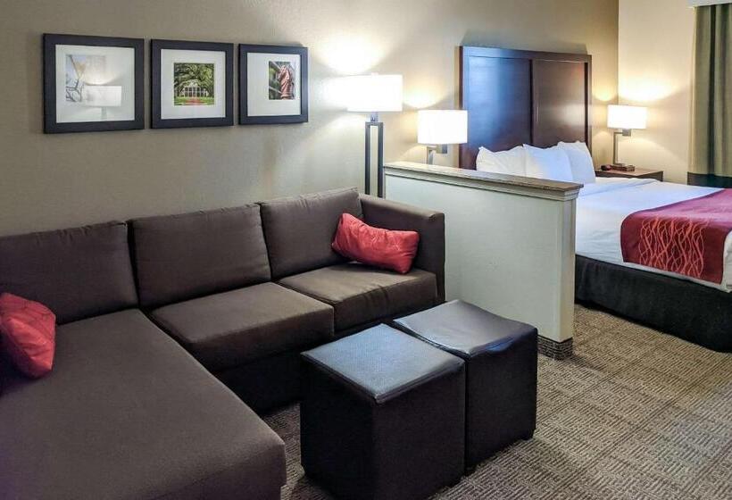 Люкс Адаптированный для Инвалидов, Comfort Inn Marrero  New Orleans West