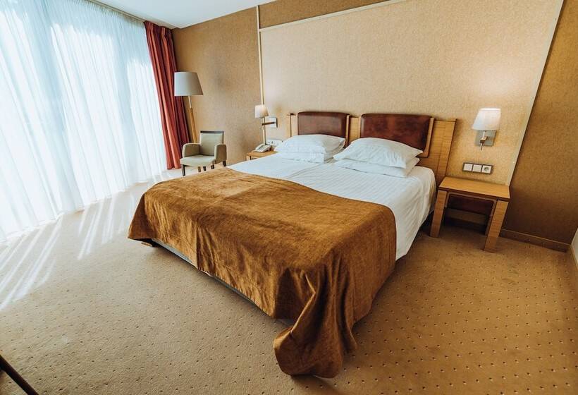 اتاق استاندارد با دسترسی به اسپا, Gabija Hotel Spa & Conferences