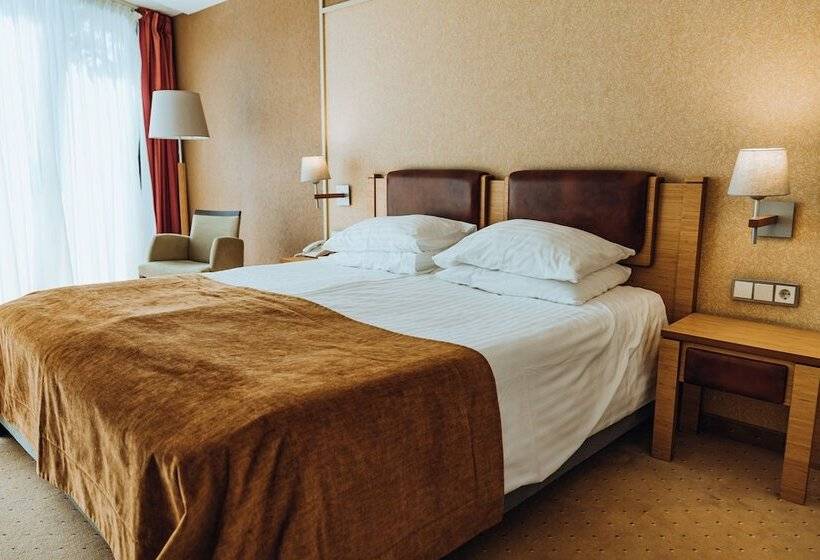اتاق استاندارد با دسترسی به اسپا, Gabija Hotel Spa & Conferences