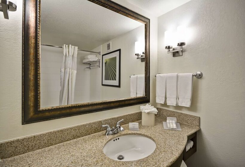 Номер Стандарт, Hilton Garden Inn Sarasotabradenton Airport
