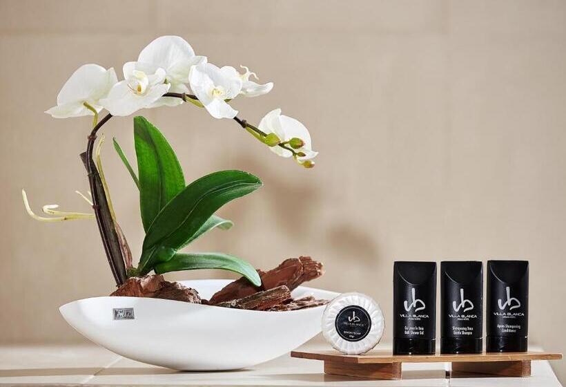 带海景的行政房, Villa Blanca Urban