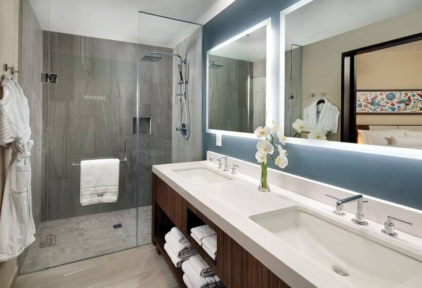 オーシャンビュー２ベッドルームヴィラ, The Westin Los Cabos Resort Villas