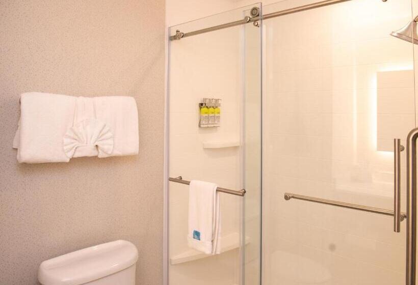 带大床的豪华间, Holiday Inn Express Hotel & Suites Chester, An Ihg