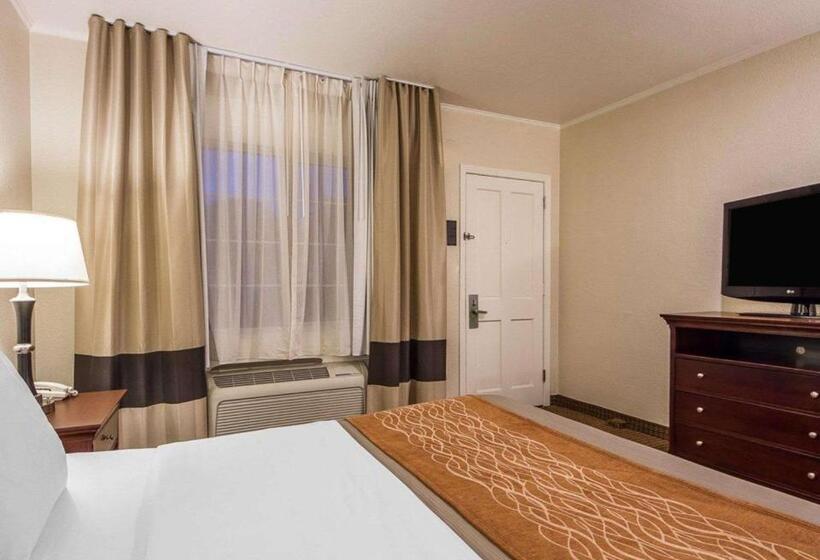Quarto Estandar, Blu Pacific