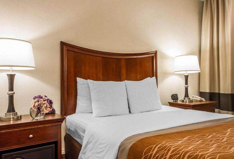 Quarto Estandar, Blu Pacific