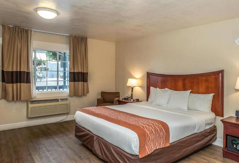 Quarto Estandar, Blu Pacific