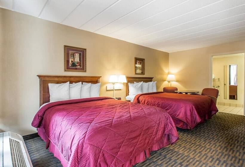 スイート, Quality Inn & Suites Easley   Greenville