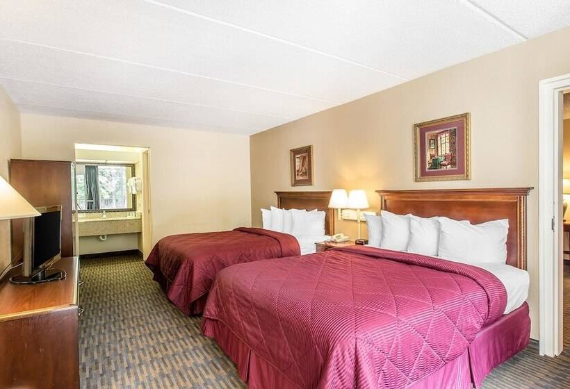 スイート, Quality Inn & Suites Easley   Greenville