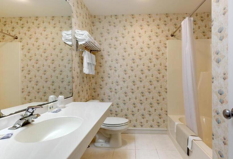 Номер Стандарт, Ogunquit Hotel And Suites
