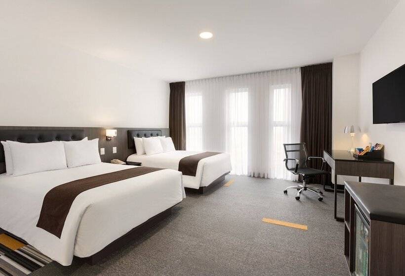 اتاق استاندارد برای معلولان, Costa Del Sol Wyndham Lima Airport