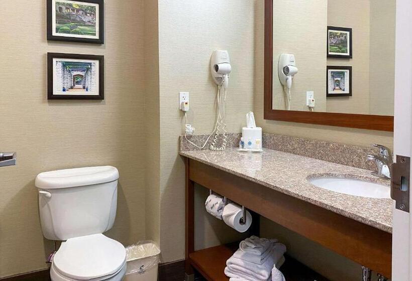 Люкс, Comfort Suites Jefferson City