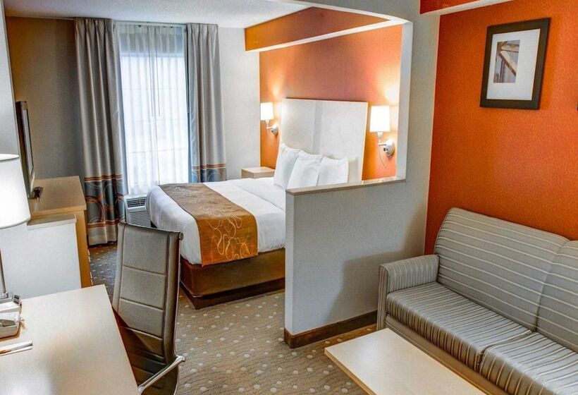 سوییت, Comfort Suites Pittsburgh Airport
