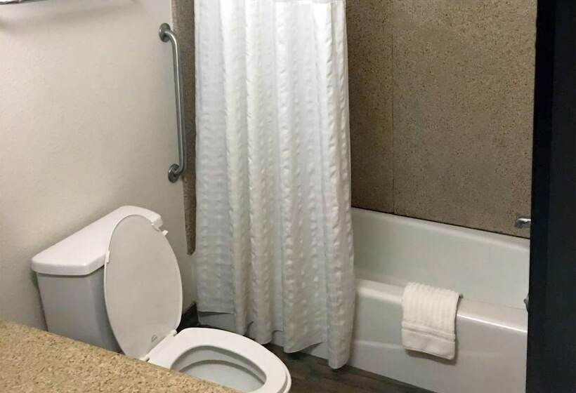 스위트, Comfort Suites San Angelo Near University