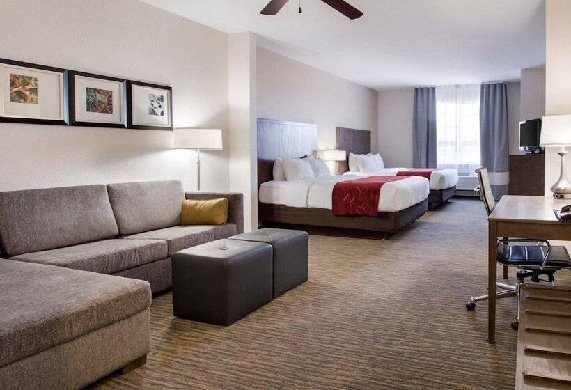 스위트, Comfort Suites San Angelo Near University