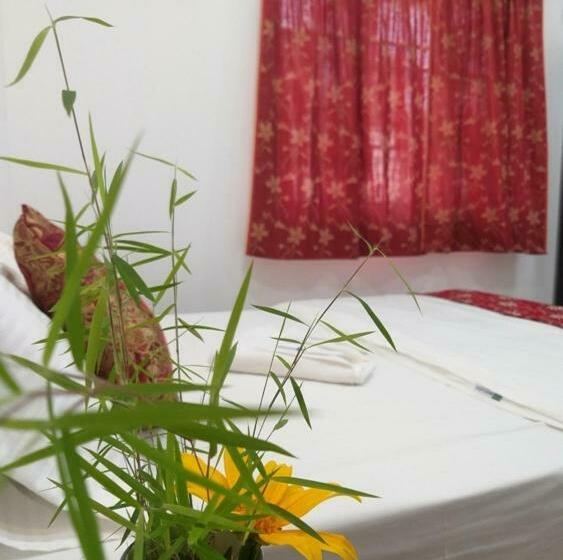 Номер Deluxe, Sushils Bed And Breakfast