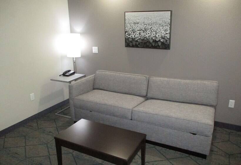 장애인을 위한 스위트, Best Western Plus Mcpherson