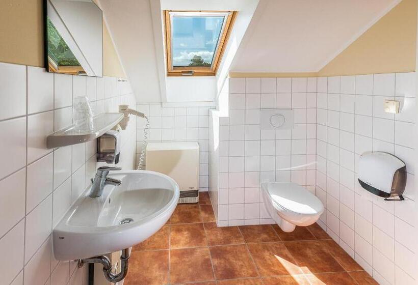 Четырехместный Номер Стандарт с Балконом, Elbterrasse Wörlitz
