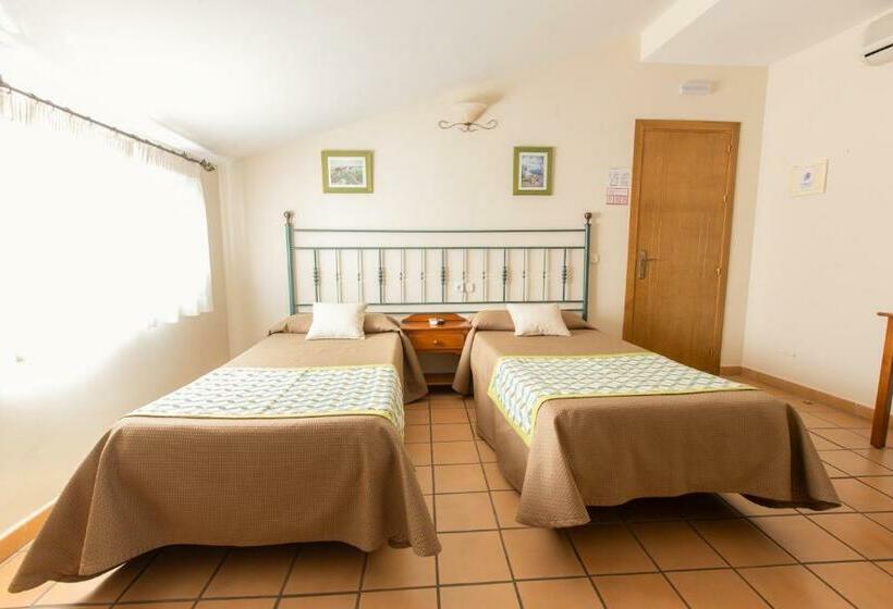 اتاق استاندارد, Hostal El Gallo