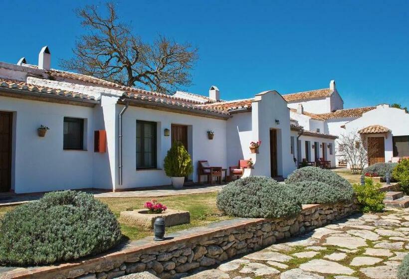 Номер Стандарт с Террасой, Cortijo Las Piletas