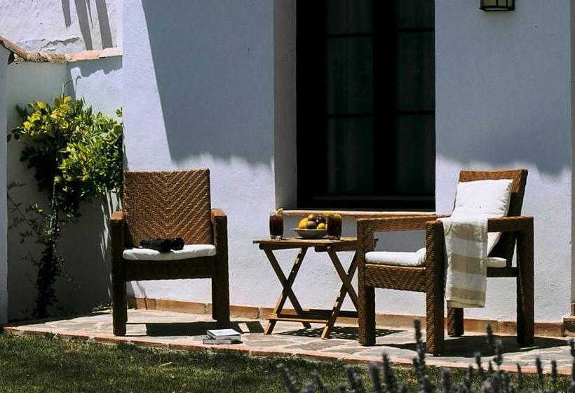 Номер Стандарт с Террасой, Cortijo Las Piletas