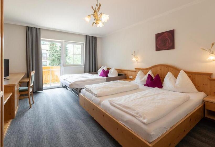 اتاق خانوادگی, Wander  Und Familienhotel Erika