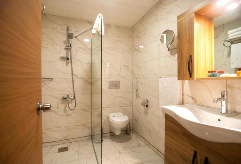 اتاق استاندارد سه نفره, Grand Koli̇bri̇ Presti̇ge